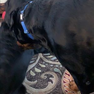 Meet your Posher, Lori